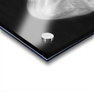 Red Pepper Bringing Sexy Back Black and White Acrylic print