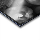 Albino Bullnose Pepper BW Acrylic print