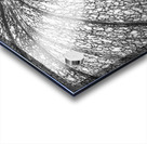 Pumpkin Pumpkin Black and White Impression Acrylique