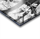 Branching Out in Timeless Black and White Elegance   Impression Acrylique