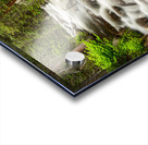 Roosevelt National Forest Stream Acrylic print