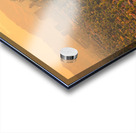 Phoenix Valley Of The Sun Acrylic print