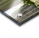 Saguaro Cactus Bloom Impression Acrylique