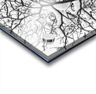 Snowy Tree Black and White Acrylic print