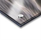 Flowing Creek Sunset Abstract Portrait Impression Acrylique