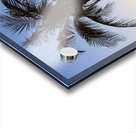 Coco Mo Tropical Sunrise Impression Acrylique