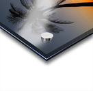 Bantayan Sunrise Acrylic print