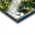 Jungle Paradise Sunshine Impression Acrylique