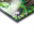 Majestic Magnificent Banyan Tree Portrait Acrylic print