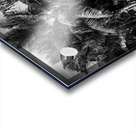 Whispers of Monochrome Palms Impression Acrylique