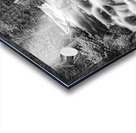 Roosevelt National Forest Stream Acrylic print