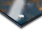 Forest In The Night Acrylic print