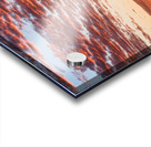 Colorful Sonoran Desert Sunrise Acrylic print