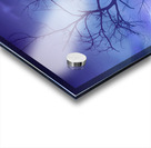 Purple Rain Over Boulder County Colorado Impression Acrylique