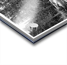 Cascade of Silver Silence Roosevelt Forest Acrylic print