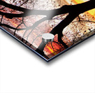 Colorado Sunset with Twin Peaks and Tree Silhouette Impression Acrylique