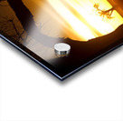 Golden Sunrise with Silhouetted Trees in Meadow Acrylic print