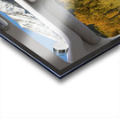 Colorado Road Trip View Snowy Peaks Golden Aspen Acrylic print