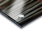 Whispers of Shadowed Light Fine Art Forest Motion Photography Acrylic print