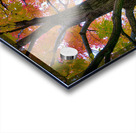 Season Of Colorful Magic Acrylic print