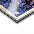 Colorful Tree White Farm House Window Portrai Impression Acrylique