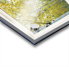 Forest Delight  White Window View Acrylic print