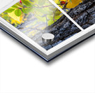 Wild Red Berries Forest Whitewash Picture Window Acrylic print