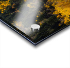 Ward Colorado Panoramic Autumn View Impression Acrylique