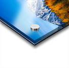 Colorado Rocky Mountain Independence Pass Fall Pano Acrylic print