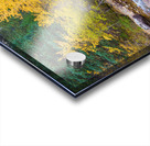 Colorado Autumn Creek Happy Place Panoramic Acrylic print