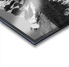 Longs Peak Autumn Aspen Landscape View BW Acrylic print