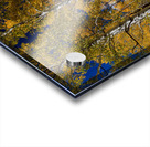 Autumn Blue Skies Acrylic print