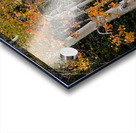 autumn seasons change Acrylic print