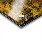 Colorful Autumn Hiking Path Acrylic print