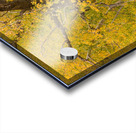 Cottonwood Tree Fall Foliage Impression Acrylique