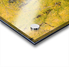 cottonwood autumn colors Impression Acrylique