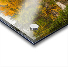 Downstream St Vrain Impression Acrylique