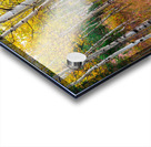 Happy Place In Woods Acrylic print