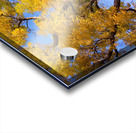  Magical Mystery Tour  Impression Acrylique