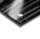 Shades Of A Forest Impression Acrylique