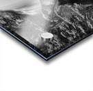 Colorado Ouzel Falls Black White Acrylic print