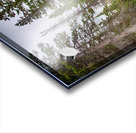 Colorado Rocky Mountain Flowing Stream Acrylic print