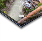 Rocky Mountains Stream Scenic Landscape Acrylic print