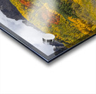 Colorado Kebler Pass Fall Foliage Acrylic print