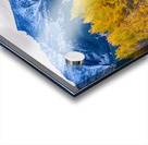 Colorful Crested Butte Colorado Impression Acrylique