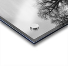 Twin Peaks Between The Trees BW Panorama Impression Acrylique