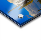  Amazing Giant Saguaro Cactus Acrylic print