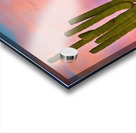 Desert Spring Acrylic print