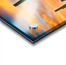 Arizona Life Acrylic print