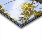 Eagle Wave Impression Acrylique